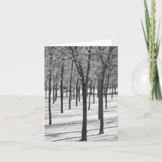 Rime in the Trees Winter Notecard