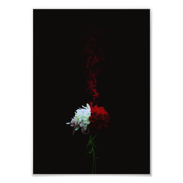 Rin Kikuichi - Chrysanthemum Photo Print (Front)
