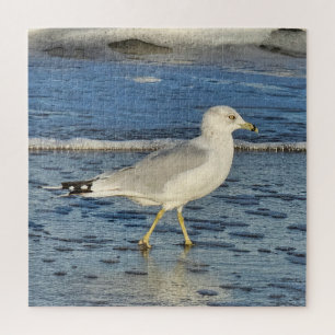 Ring-billed Gull Jigsaw Puzzle
