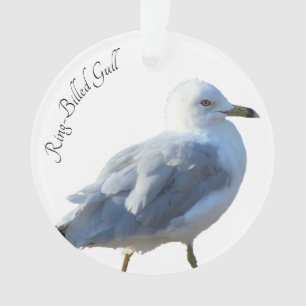 Ring-Billed Gull Ornament