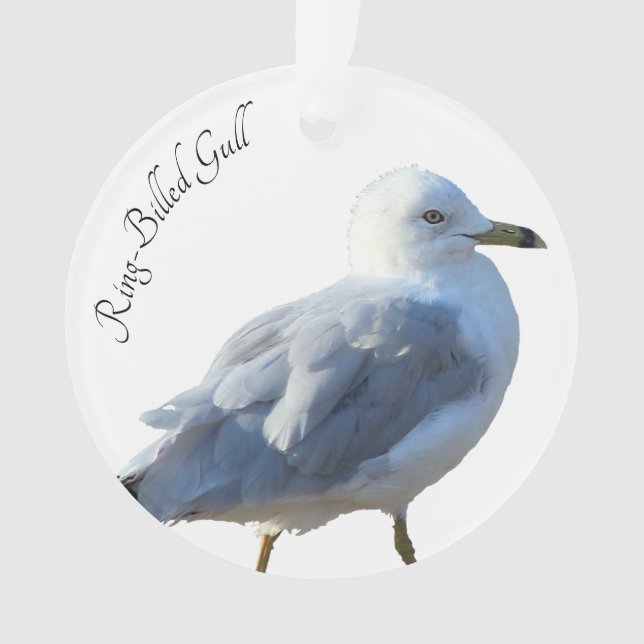 Ring-Billed Gull Ornament (Front)