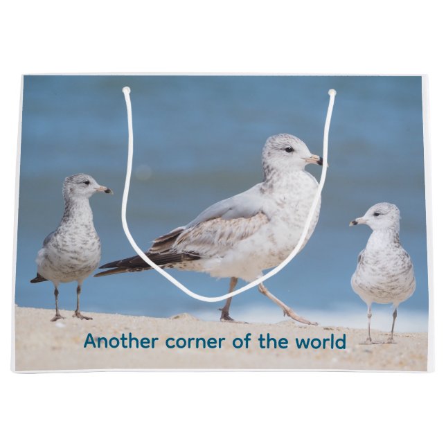  Ring-billed Gulls  Large Gift Bag (Front)