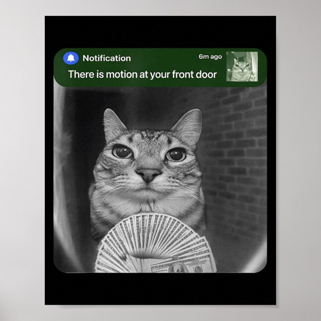 Ring Cat With Motion Meme _1  Poster (Front)