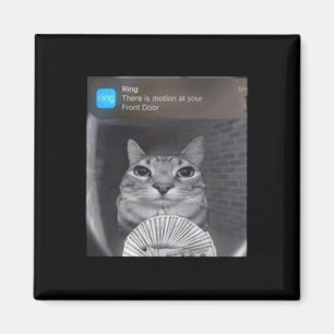 Ring Cat With Motion Meme Magnet
