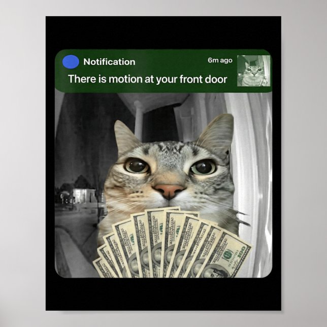 Ring Cat With Motion Meme  Poster (Front)