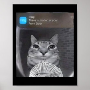 Ring Cat With Motion Meme Poster