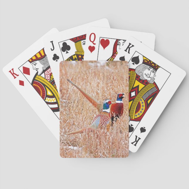 Ring Neck Pheasant Bicycle Playing Cards (Back)