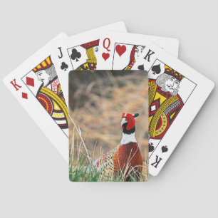 Ring Neck Pheasant Bicycle Playing Cards