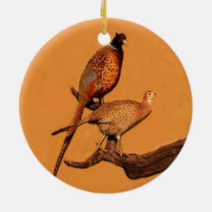 Ring-neck Pheasant Ceramic Tree Decoration