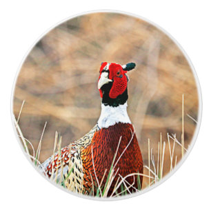 Ring-neck Pheasant Custom Ceramic Knob