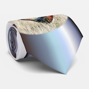 Ring Neck Pheasant in Meadow Tie