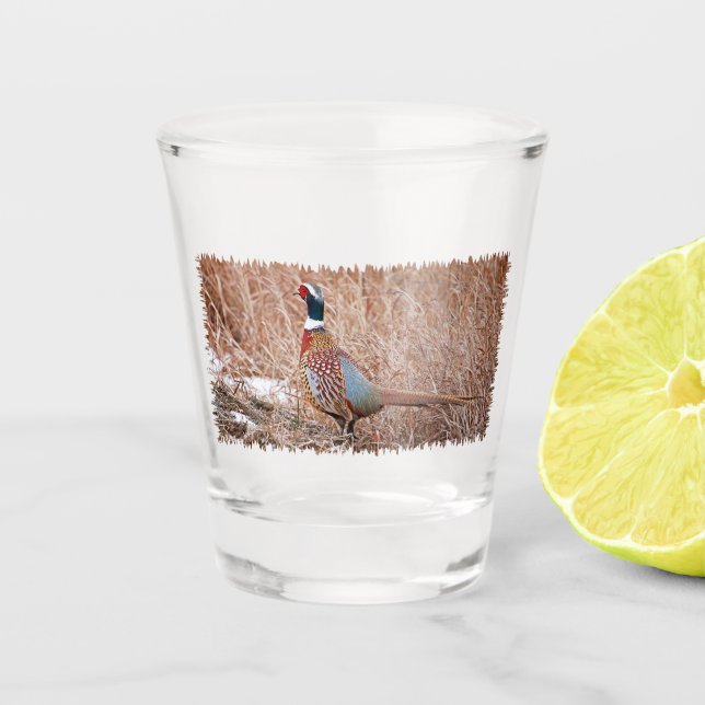 Ring-neck Pheasant Shot Glass (Front)