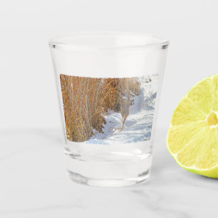 Ring-neck Pheasant Shot Glass