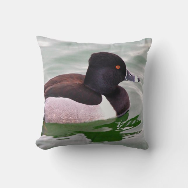 Ring Necked Duck Cushion (Front)