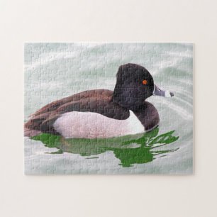 Ring Necked Duck Jigsaw Puzzle