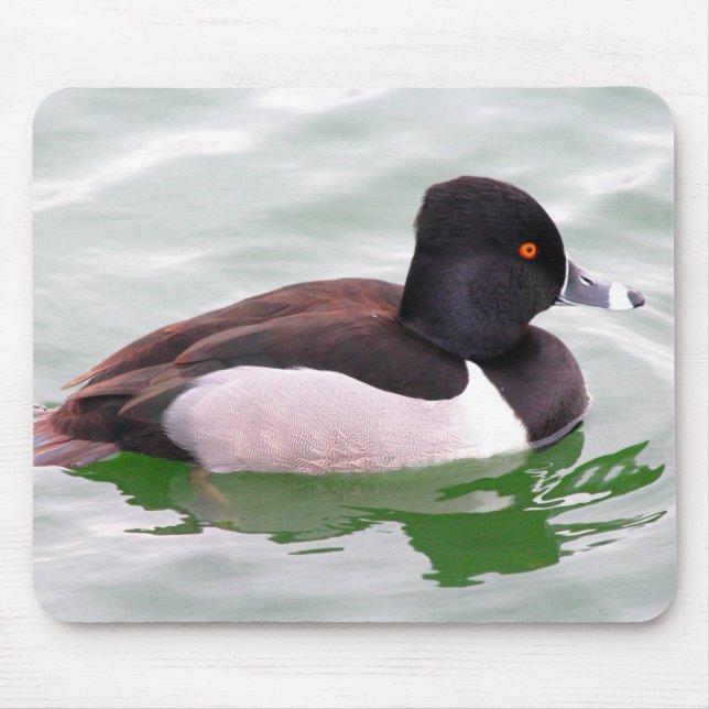Ring Necked Duck Mouse Mat (Front)