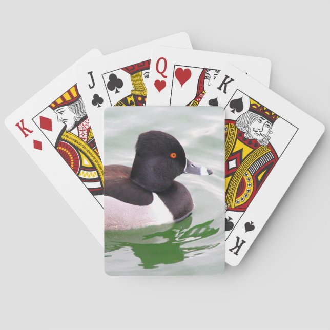Ring Necked Duck Playing Cards (Back)