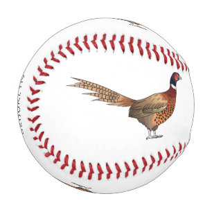 Ring-necked pheasant bird cartoon illustration baseball