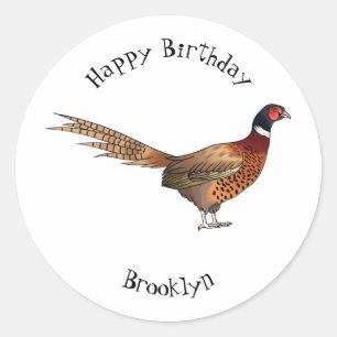 Ring-necked pheasant bird cartoon illustration  classic round sticker