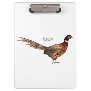 Ring-necked pheasant bird cartoon illustration clipboard