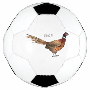 Ring-necked pheasant bird cartoon illustration  football
