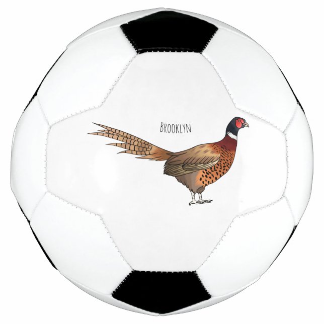 Ring-necked pheasant bird cartoon illustration  football (Front)