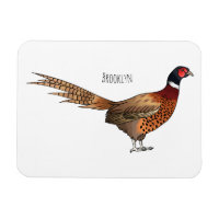 Ring-necked pheasant bird cartoon illustration