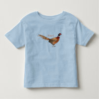 Ring-necked pheasant bird cartoon illustration