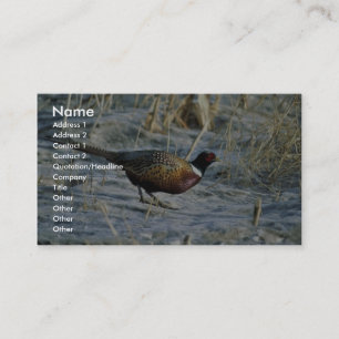 Ring-necked pheasant business card