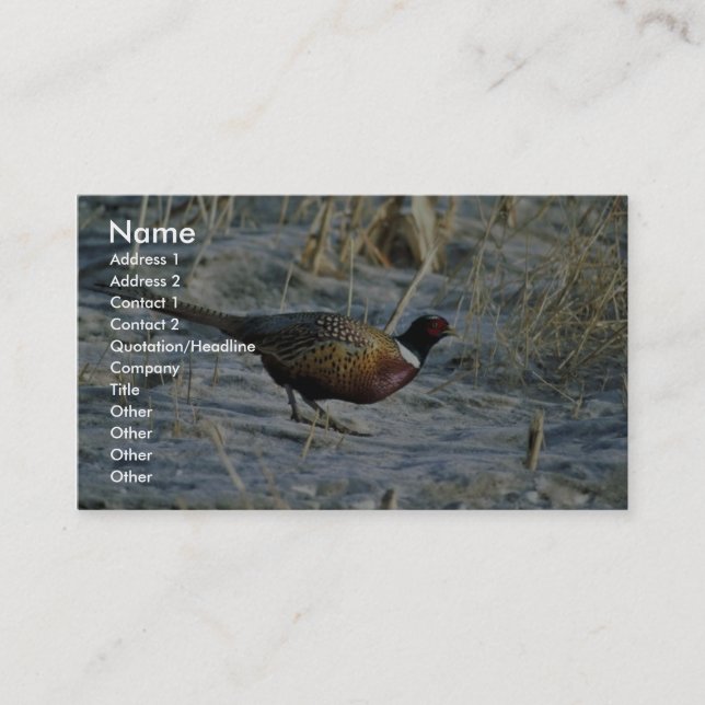 Ring-necked pheasant business card (Front)