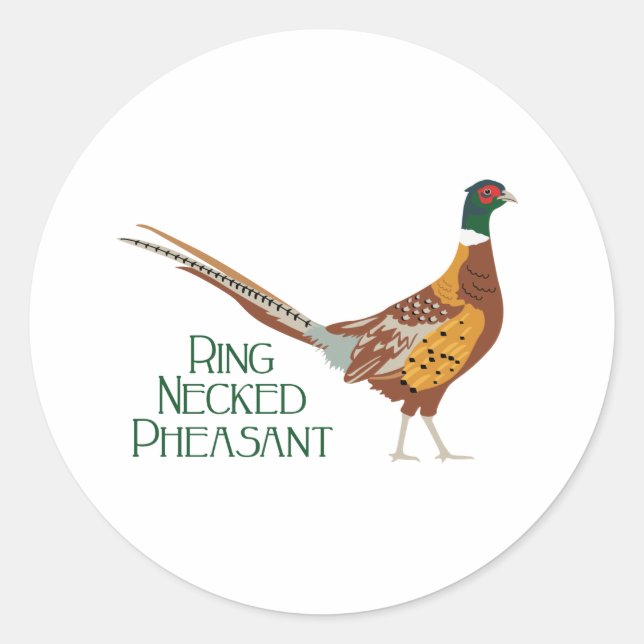 Ring Necked Pheasant Classic Round Sticker (Front)