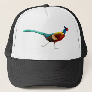 Ring Necked Pheasant Hat