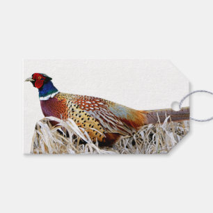 Ring-necked Pheasant Photo Gift Tag