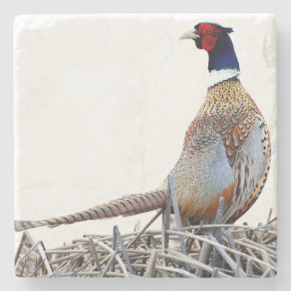 Ring-necked Pheasant Photo Stone Trivet Stone Coaster