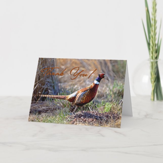 Ring-necked Pheasant Photo Thank You Card (Front)