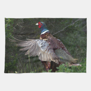 Ring Necked Pheasant Tea Towel
