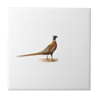 Ring-necked Pheasant Tile