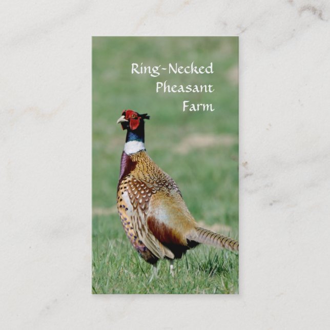 Ring Necked Pheasants photo Business Card (Front)