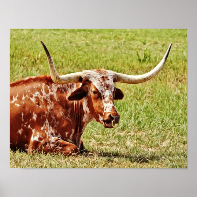 Ring Nose Texas Longhorn Cow Photographic Art Poster (Front)