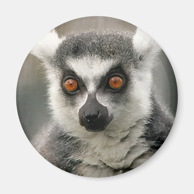 ring tail lemur magnet (Front)