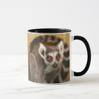 Ring Tailed Lemur 2-panel 2-tone Mug