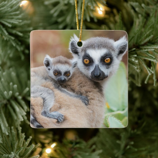 Ring-Tailed Lemur Baby on its Mother's Back Ceramic Ornament (Tree)