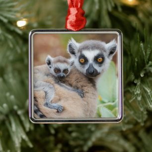 Ring-Tailed Lemur Baby on its Mother's Back Metal Tree Decoration