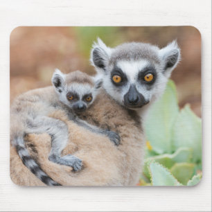 Ring-Tailed Lemur Baby on its Mother's Back Mouse Mat