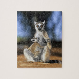 Ring-tailed Lemur, (Lemur catta), Mother and Jigsaw Puzzle