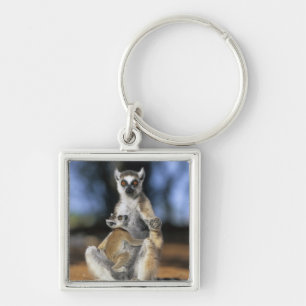 Ring-tailed Lemur, (Lemur catta), Mother and Key Ring