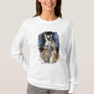 Ring-tailed Lemur, (Lemur catta), Mother and T-Shirt