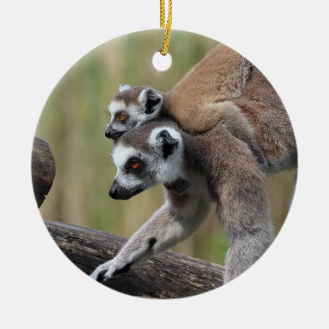 Ring-Tailed Lemur Mother And Baby Ceramic Tree Decoration (Front)