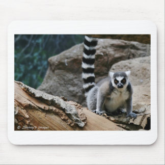 RIng Tailed Lemur Mouse Mat