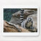 RIng Tailed Lemur